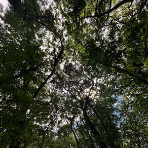 Meet your Posher, Caitlyn